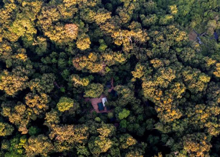 Web de HIFOR · High Integrity Forests