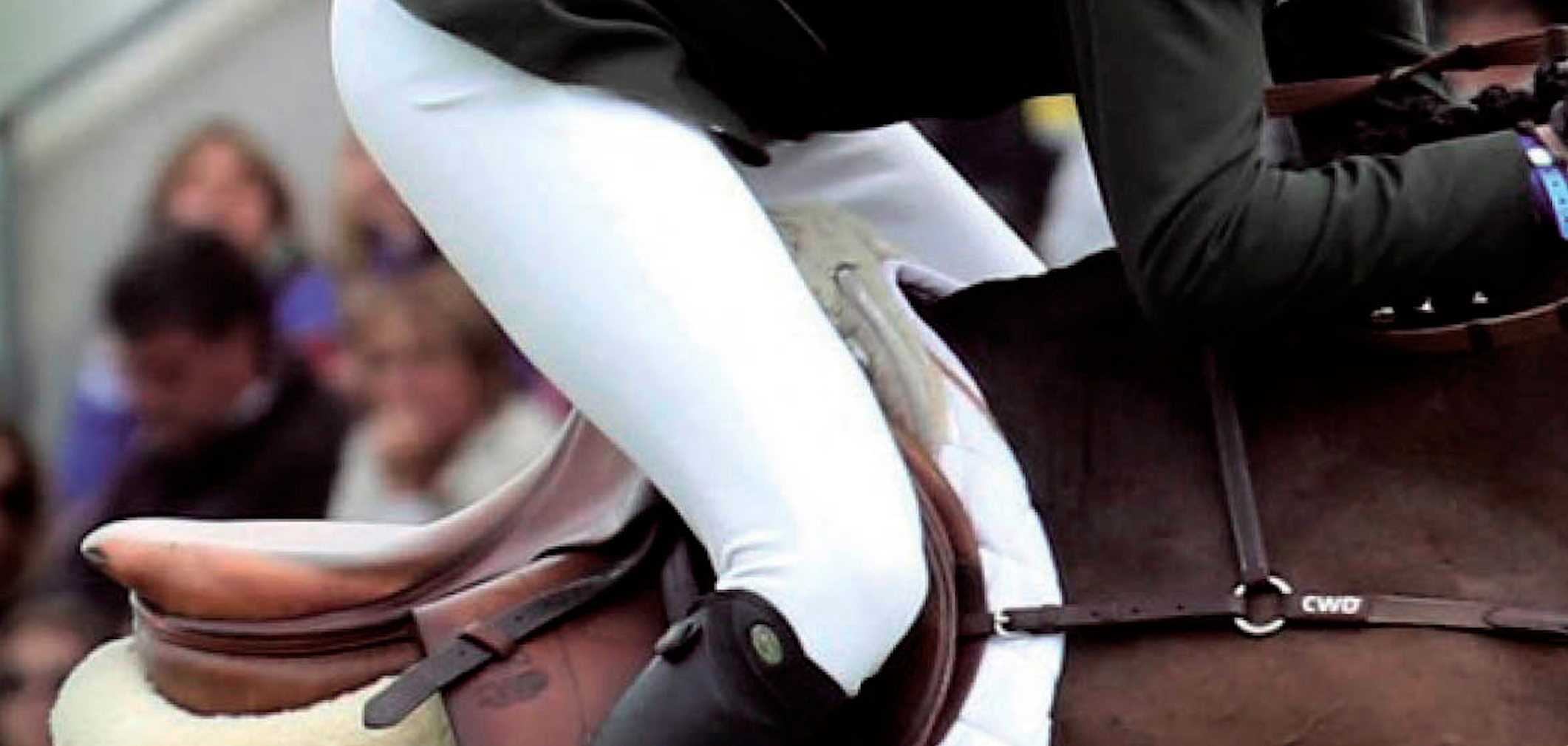 Web de Showjumping Ireland